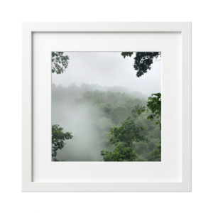 Forest Reverie