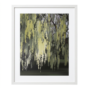 The Quiet Arboretum