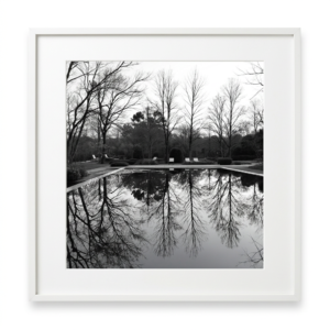Ripple of Silence