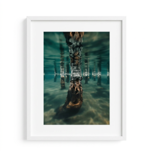 Lakeside Requiem