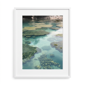 Coastal Reverie