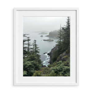 The Gentle Surf