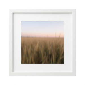 Meadow at Rest